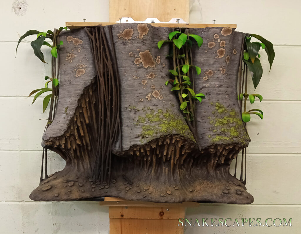 Step-by-Step Custom Snake Habitat Creation Process: Crafting the Perfect Reptile Enclosure