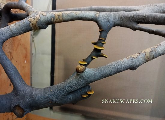 Versatile Two-Point Snake Habitat Insert: Elevating Reptile Comfort